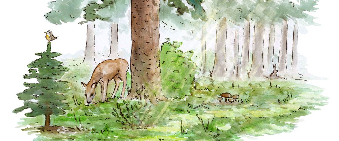 Eine Aquarell-Illustration eines Waldes mit einem Reh, einem Vogel und einem Hasen
